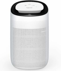 11. Hysure Air Dehumidifier with-Air Purifier Function 1000ml True HEPA Filter,Ultra-Quiet Portable for Small Rooms, Bathroom, Bedroom, Wardrobe Room,Crawl Space, Basement -Model.Q7 2 in 1Function