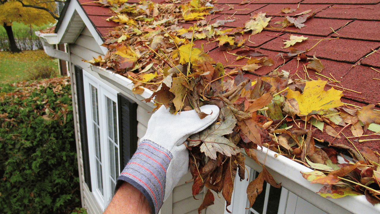 fall-weather