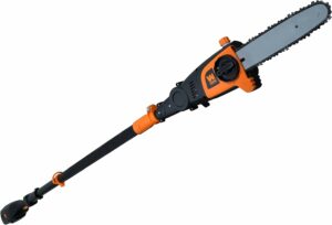 WEN 40421 40V Max Lithium Ion Cordless Pole Saw