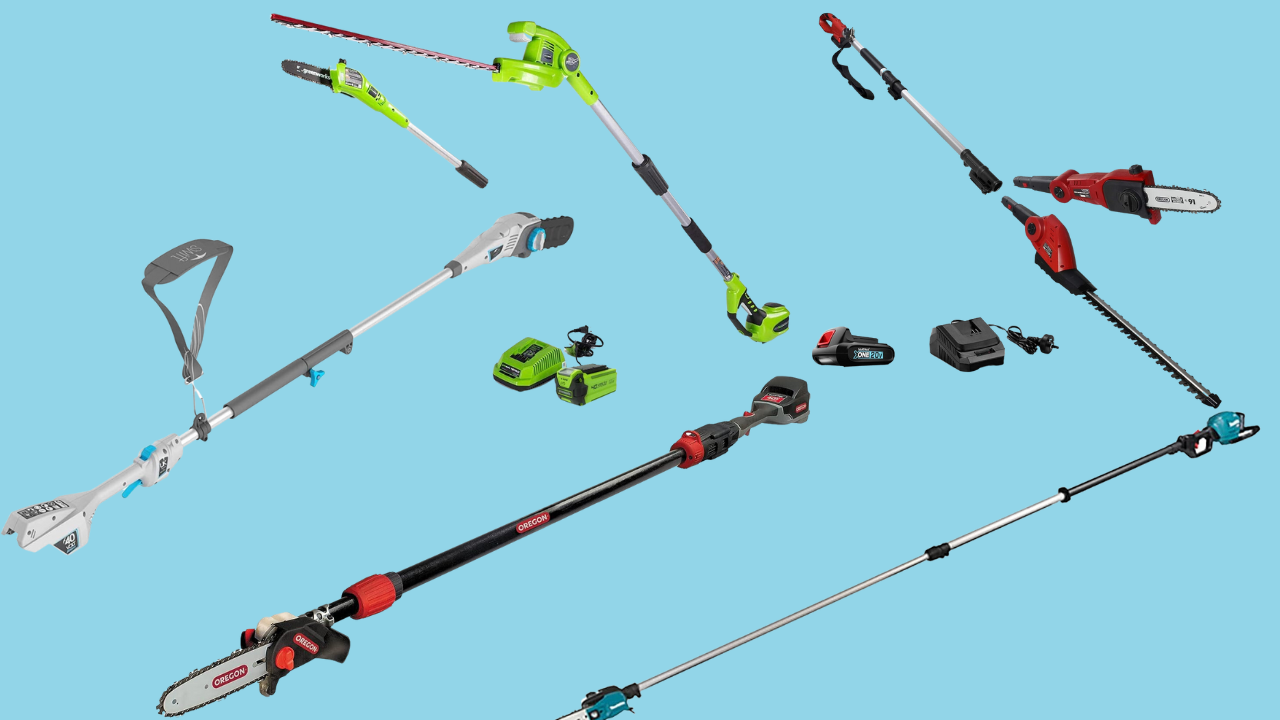 12 Best Battery Pole Saw Australia Expert Reviews for 2023