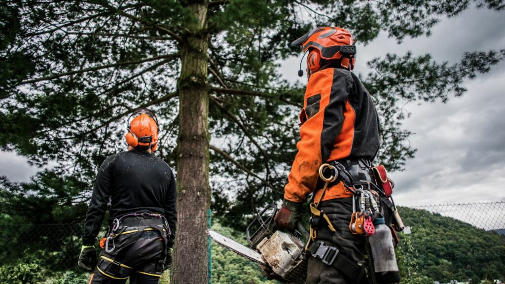chainsaw-PPE